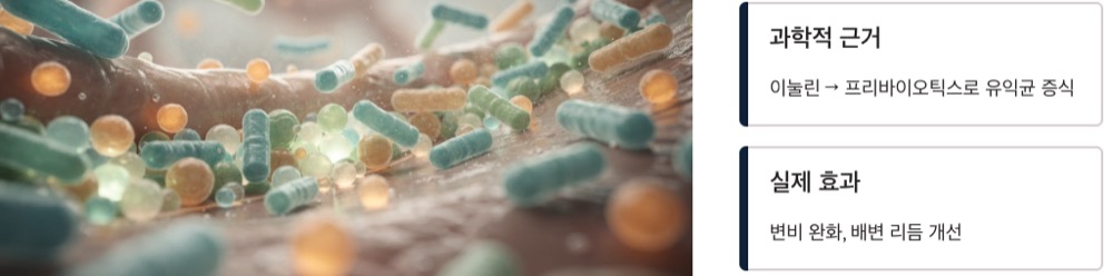 우엉차 효능 장건강개선