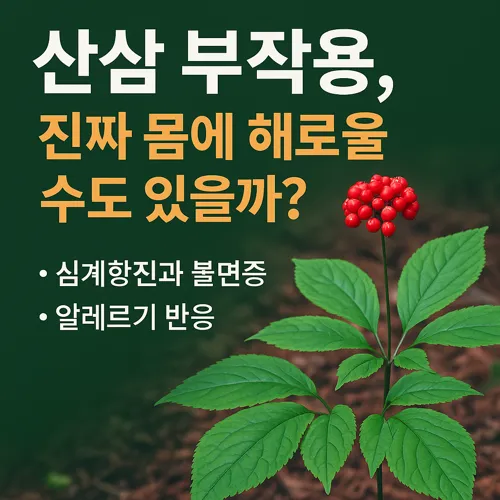 산삼 부작용 경고 이미지