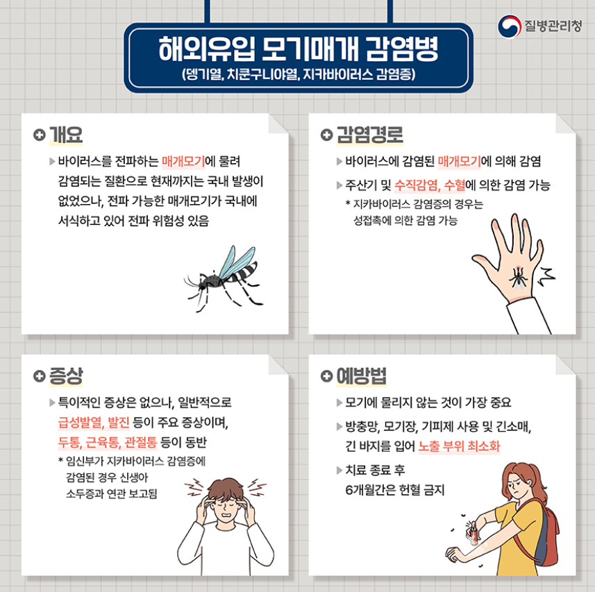 뎅기열 증상