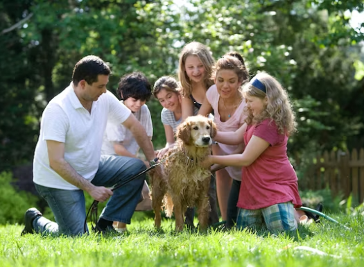 방계혈족인-아이들과-삼촌-고모들이-마당에서-강아지와-놀고-있다