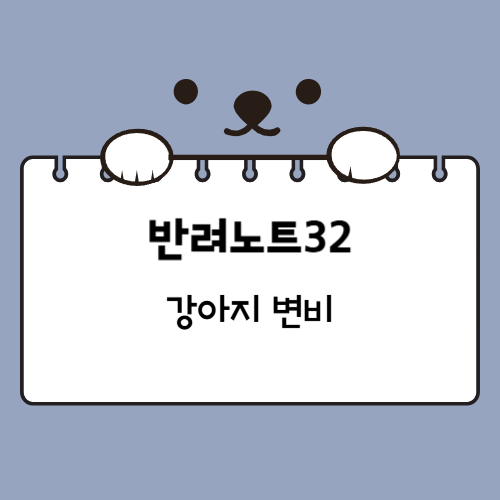 강아지 변비 증상과 마사지 배변 유도 방법