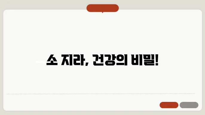 소 지라 효능