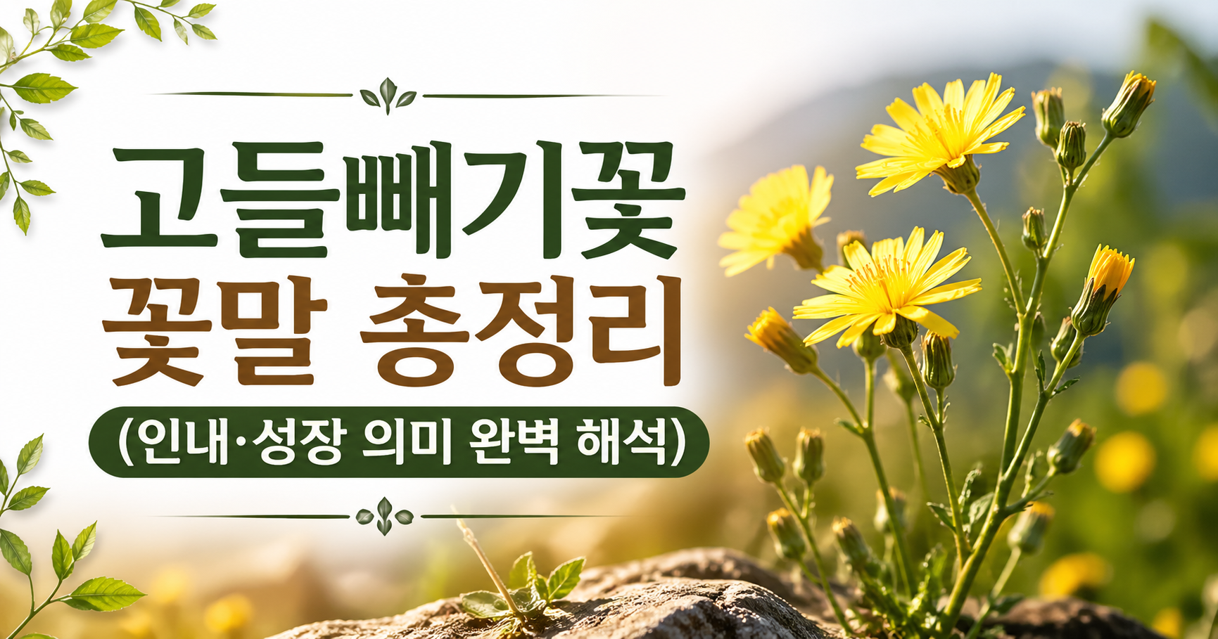 고들빼기꽃 꽃말
