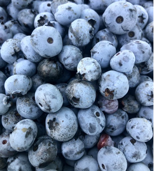 흰머리 좋은 음식