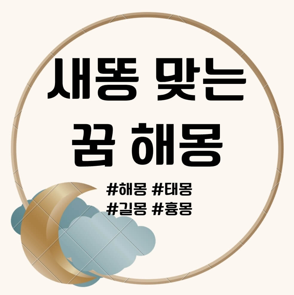 새 똥 맞는 꿈&#44; 새 똥 밟는 꿈 해몽 문구의 포스터
