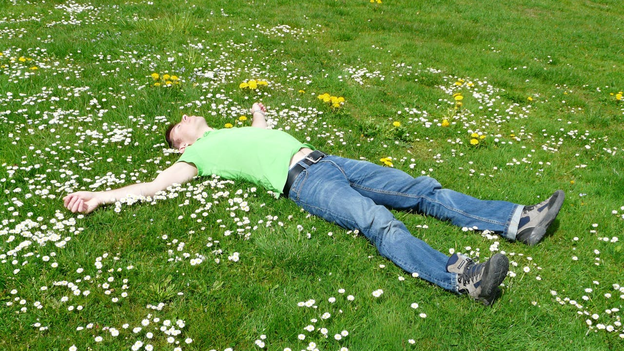 NEMO (Nobody Ever Misses Out)