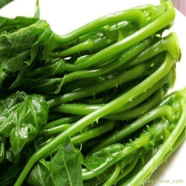 살짝 데친 엄나무순