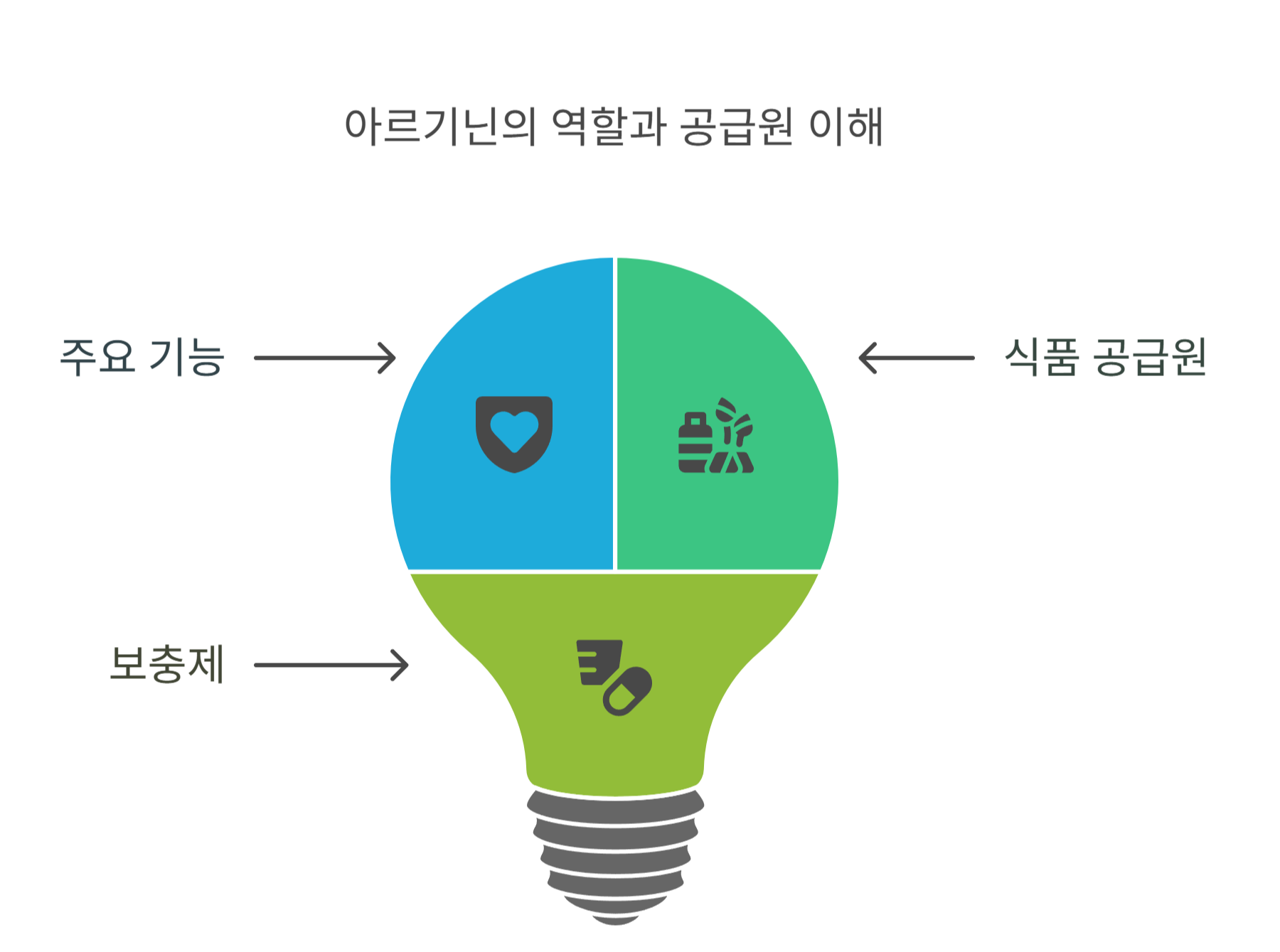 아르기닌이란 무엇인가