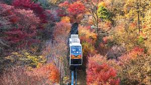 가을 단풍여행 추천지 베스트 경기 화담숲