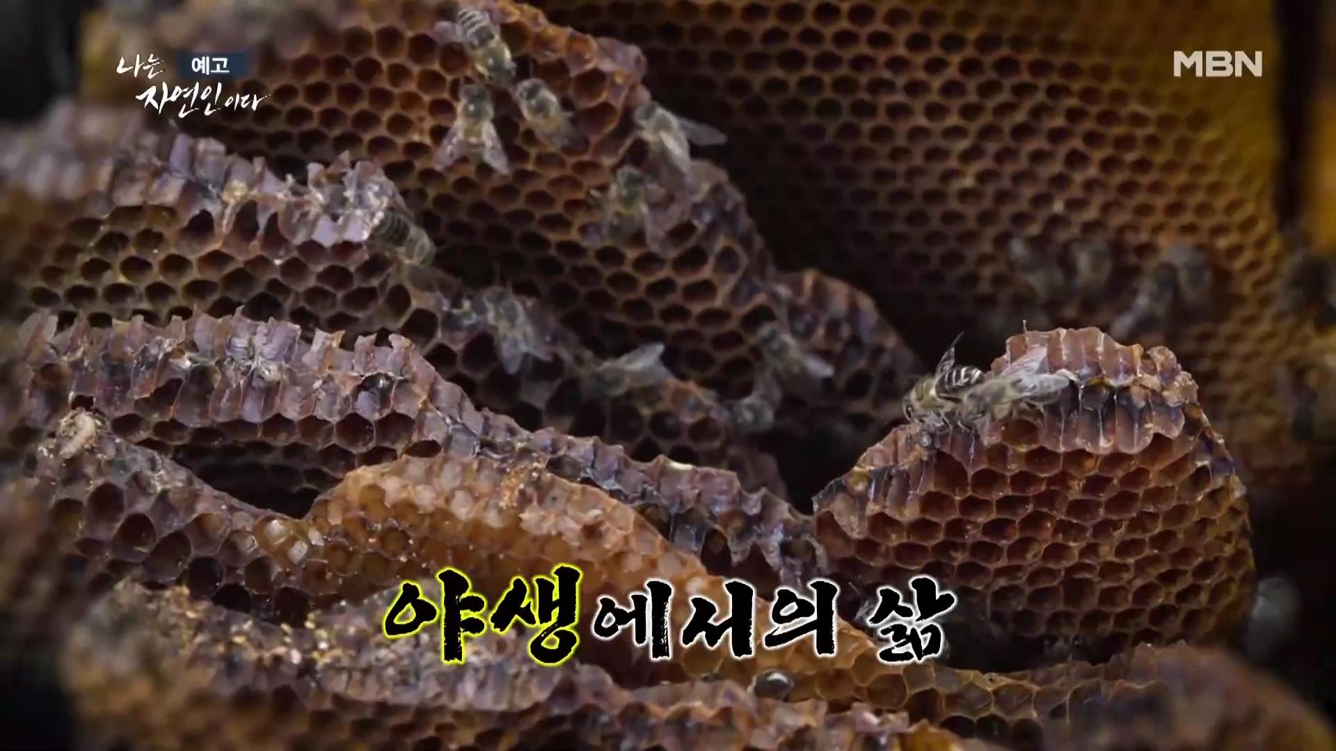 나는-자연인이다-이승윤