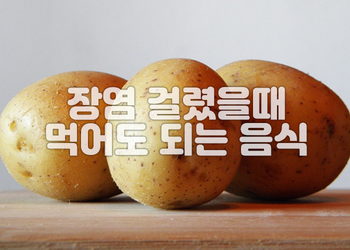 감자 이미지