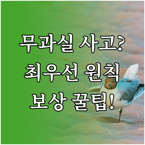 무과실 사고까지 보상하는 피해자 구제..