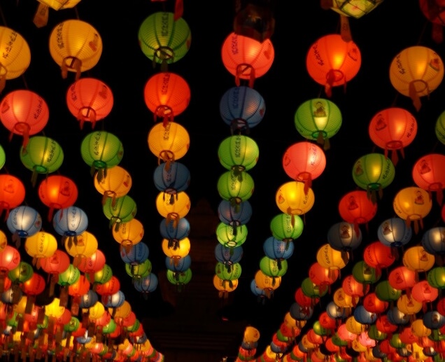 세종시 비암사 : 천년의 침묵을 깨고 드러난 백제 유민의 간절한 염원과 보물 백제 불교의 흔적이 남아 있는 유서 깊은 고찰