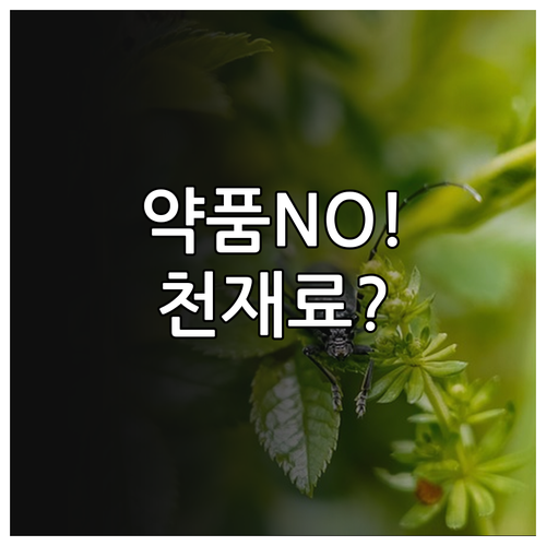 에어컨 청소 시 약품 대신 천연 재료..