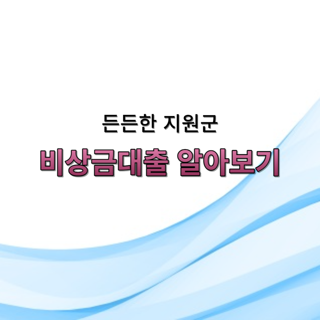 비상금대출