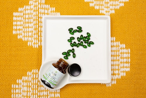 1. 영양소 결핍 철분