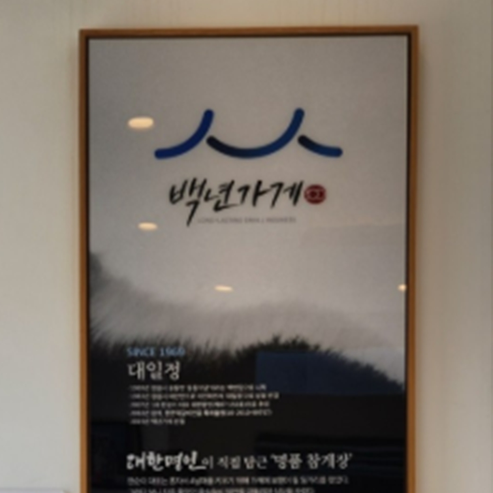 대일정