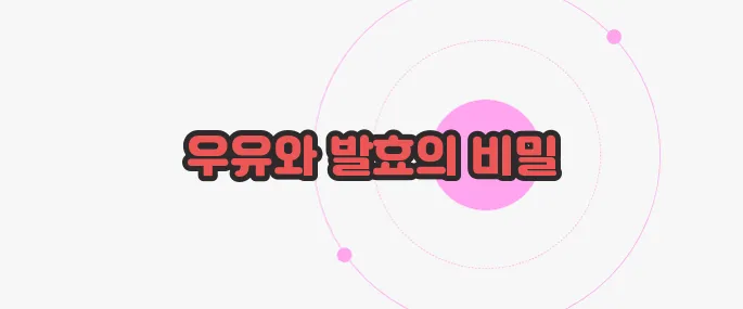 요거트 만드는 방법 한 번 정리해볼까요