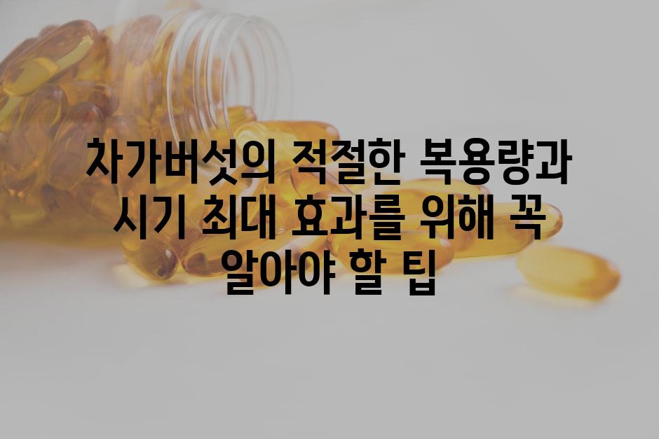 차가버섯의 적절한 복용량과 시기 최대 효과를 위해 꼭 알아야 할 팁
