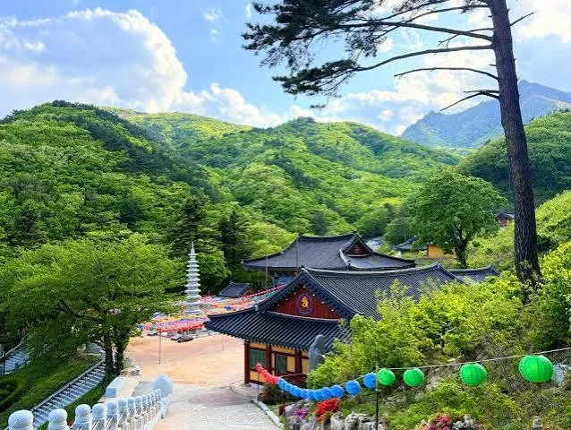 템플 스테이 홈페이지