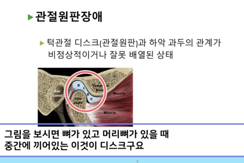 고홍섭-교수