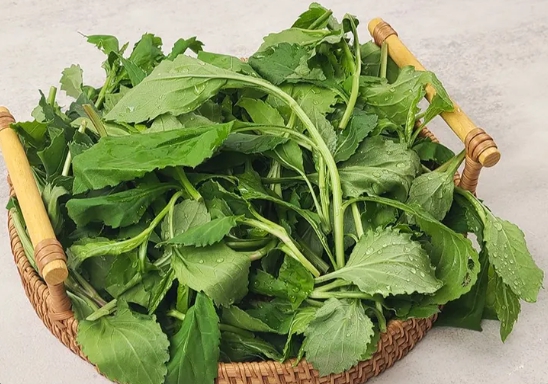 한국의 떡 종류 취떡-취나물