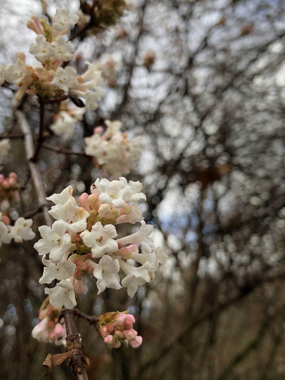 용인 아이와 가볼만한 곳 동천자연식물원