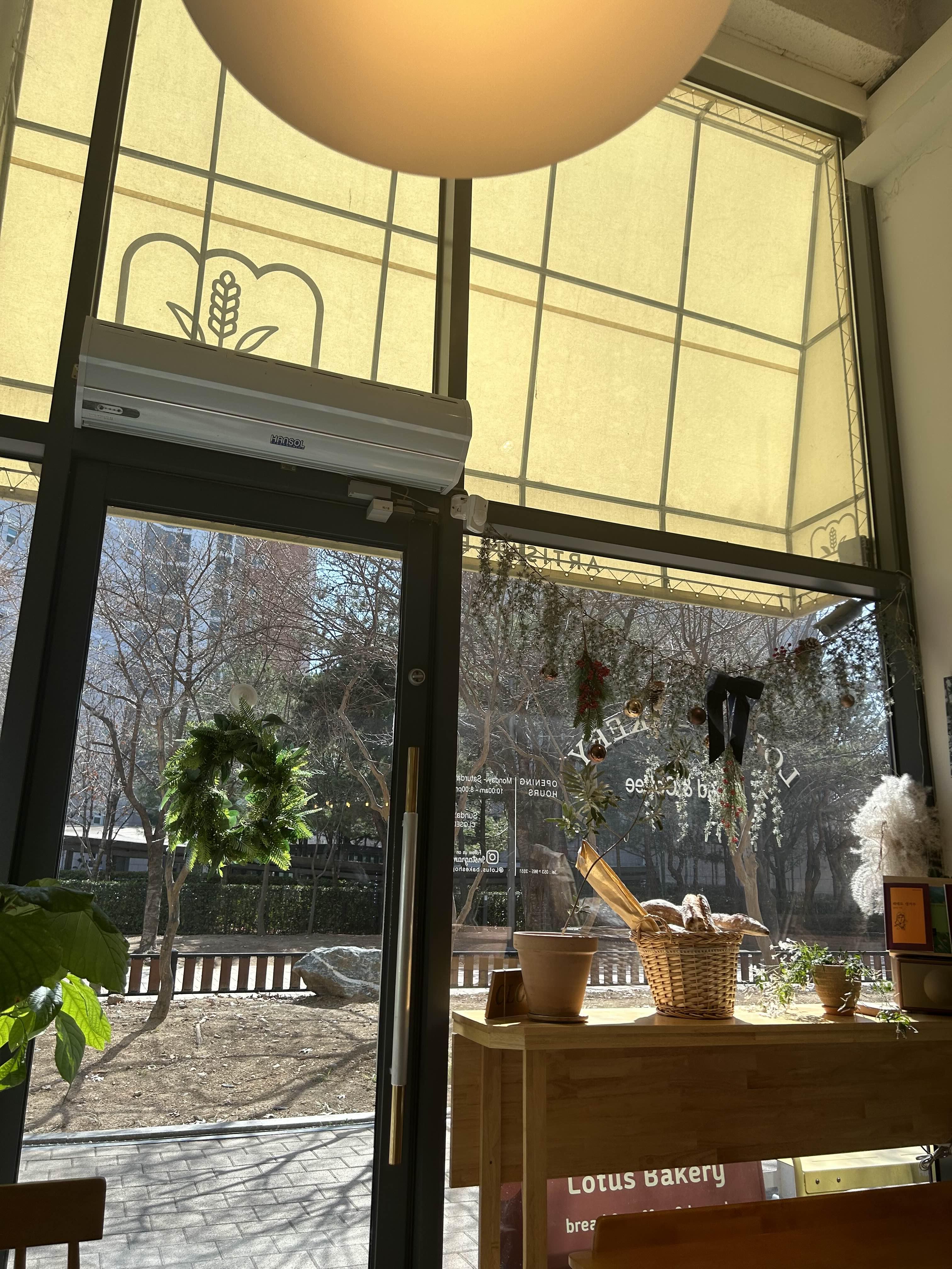 대구 율하동 브런치 빵집 로터스 베이커리 방문후기 - undefined - 모든 영역 대구 율하동 브런치 빵집 로터스 베이커리 방문후기 - undefined - 모든 영역