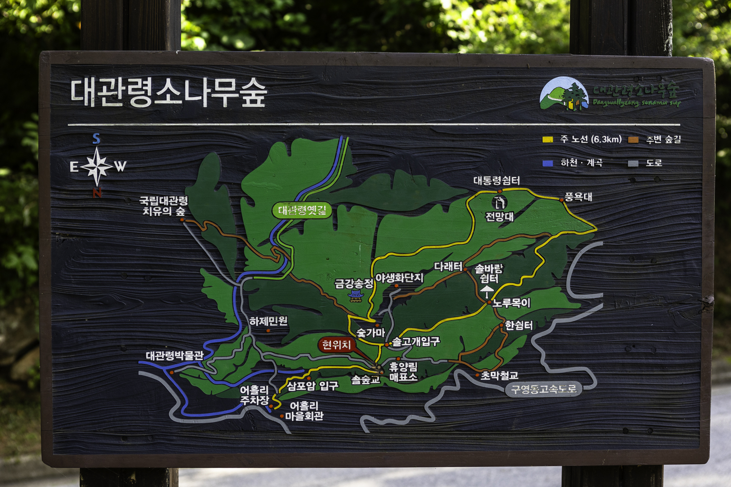 대관령 소나무숲길 지도