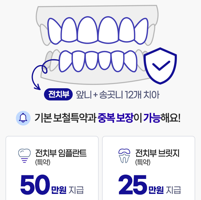 라이나생명 치아보험 청구서류 해지 보장내용