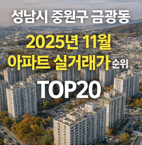 성남시 중원구 금광동 25년 11월 아파트 실거래가 순위 TOP