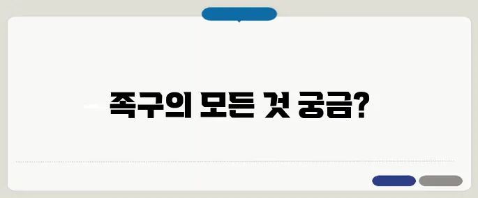 대한민국 족구협회 공식 정보 총정리