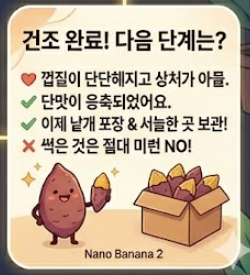 고구마 보관하는법