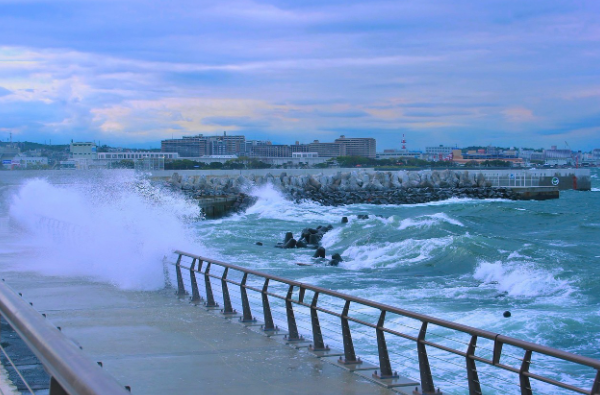 재난 보험 vs 자연 재해 보험 차이 총정리
