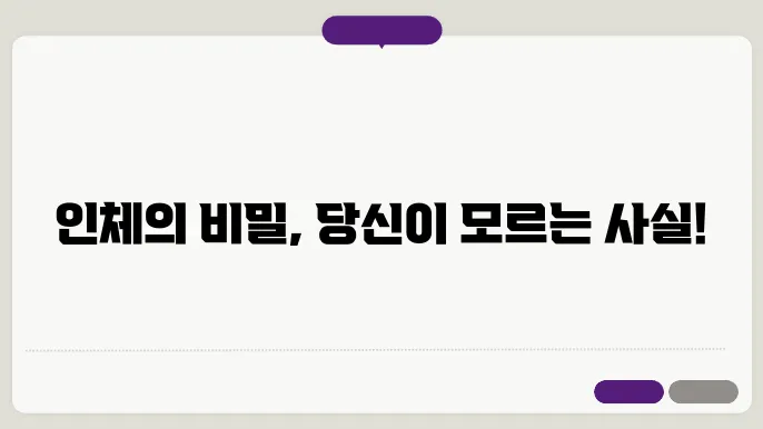 인간 해부학: 신체의 구조와 기능