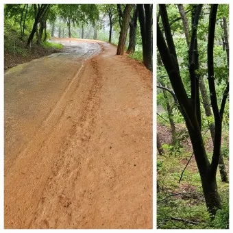 황토길 맨발 걷기 효능과 건강 효과 핵심 정보 정리해보기_21