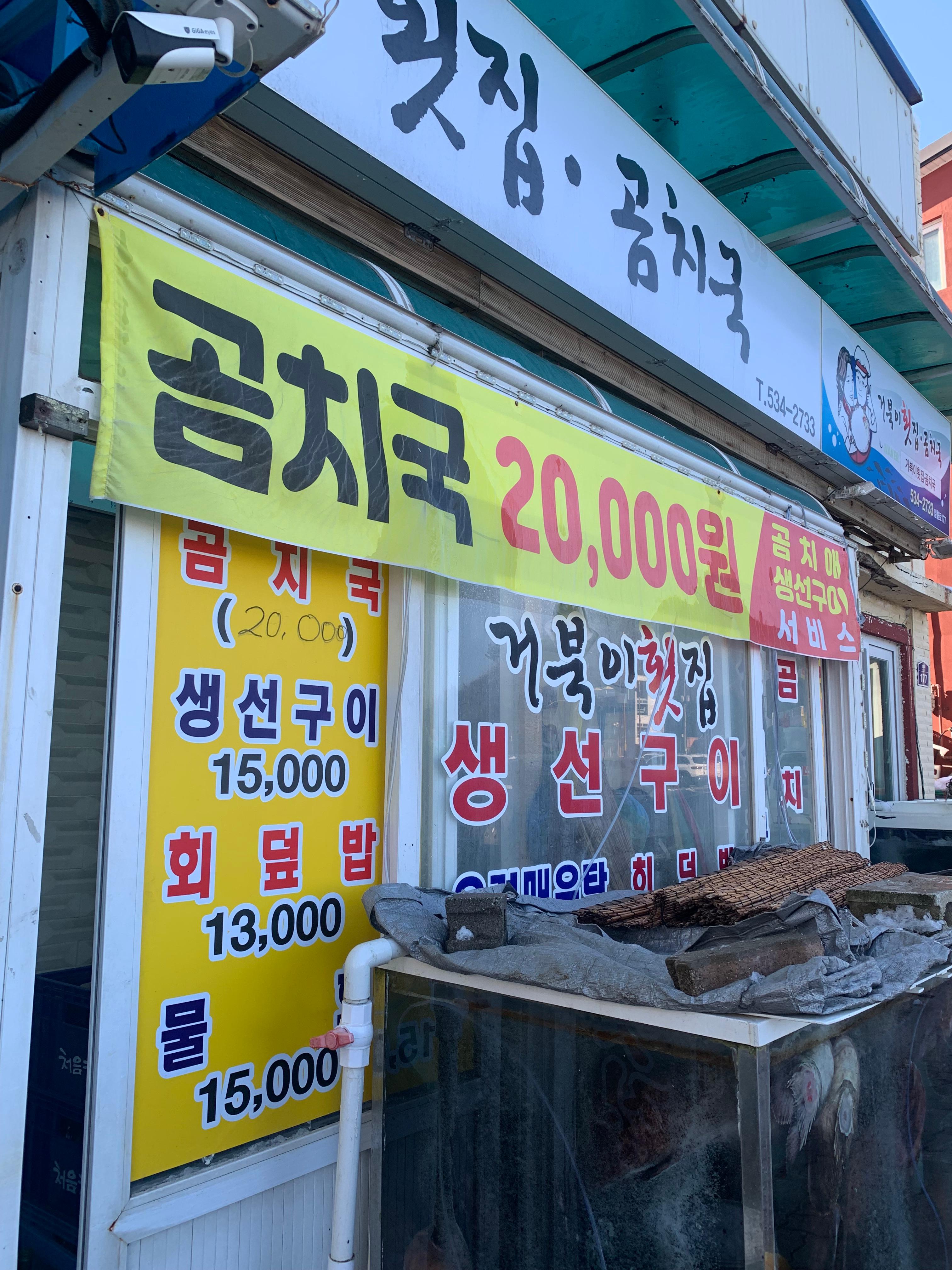 묵호 거북이횟집 곰치국 후기 내돈내산