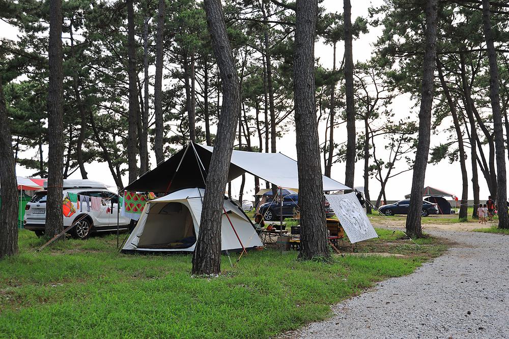 전북 고창 구시포 노을캠핑장 소개