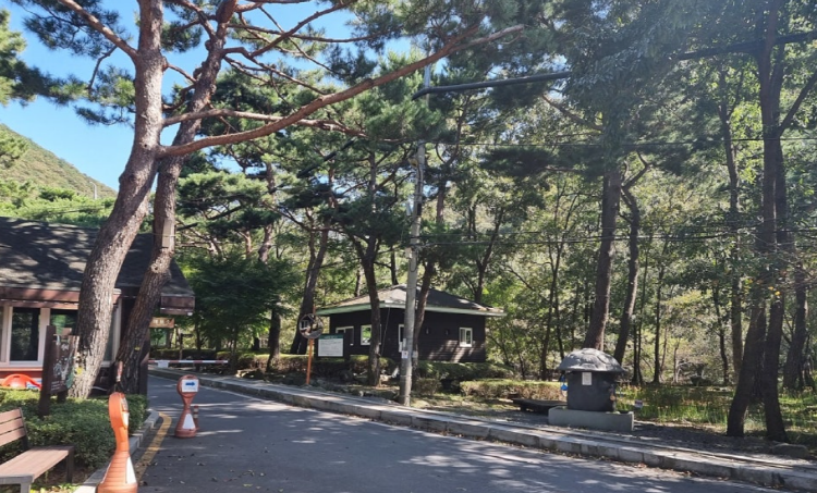 성주산 자연휴양림