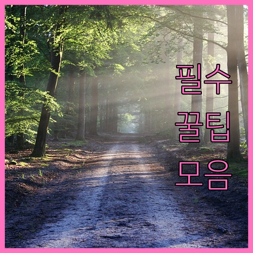 대형폐기물 신고 강서구 생곡동 주민 ..