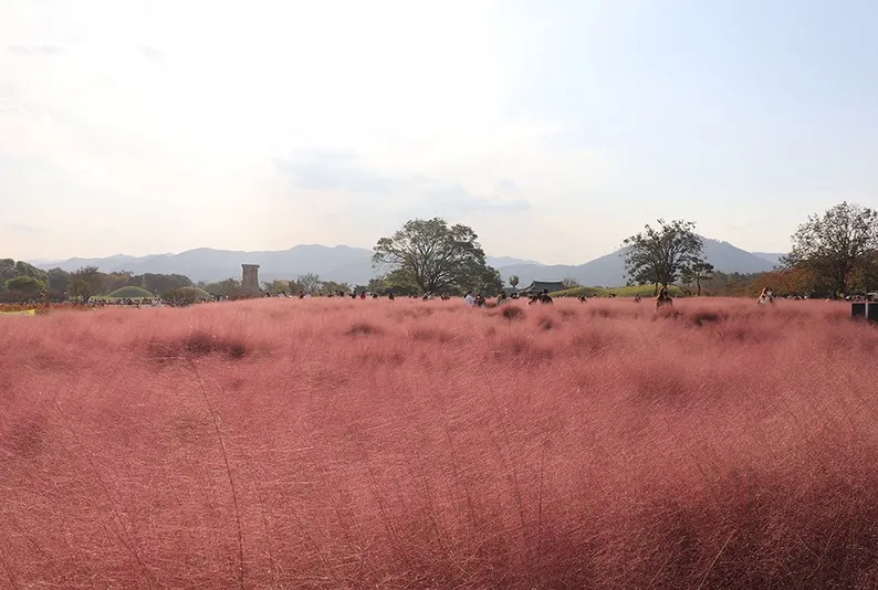 2023-๊ฐ์-๋จํ-์ฌํ-์ถ์ฒ-ํํฌ๋ฎฌ๋ฆฌ