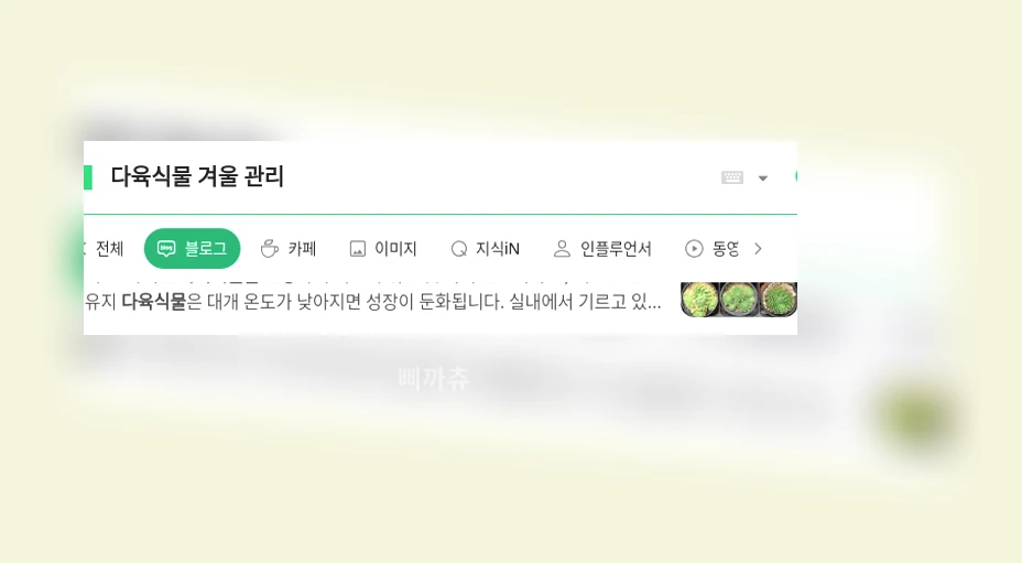 다육식물 겨울 관리_1_subsection