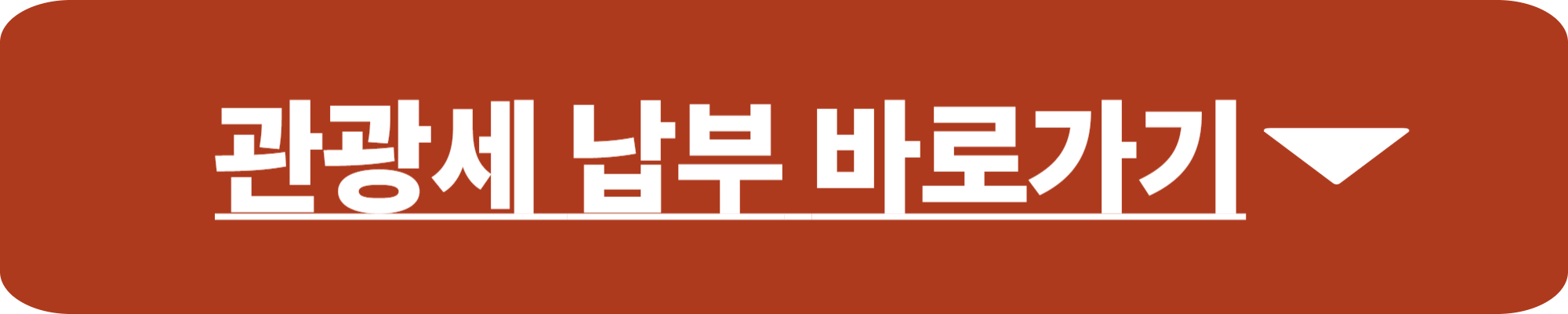 발리 관광세