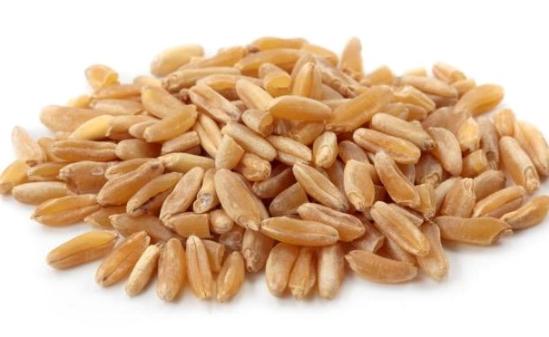 호라산밀 먹는법