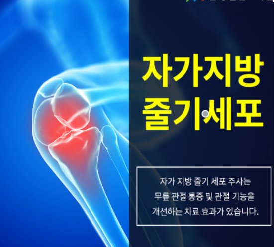 지방 줄기세포의 모든 것 관련 이미지