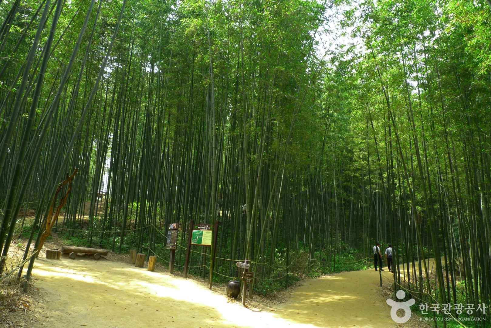 담양 죽녹원