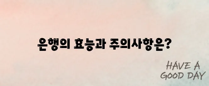은행 효능 부작용 알고 하루 권장량 맞게 먹어봅시다