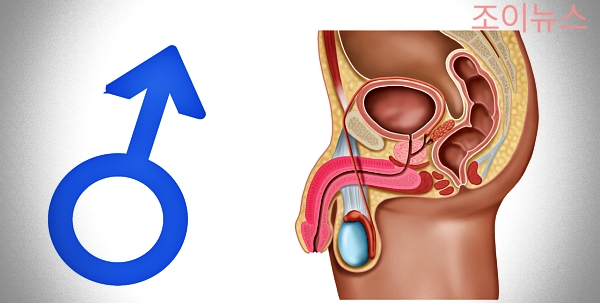 남자 하복부 초음파 검사