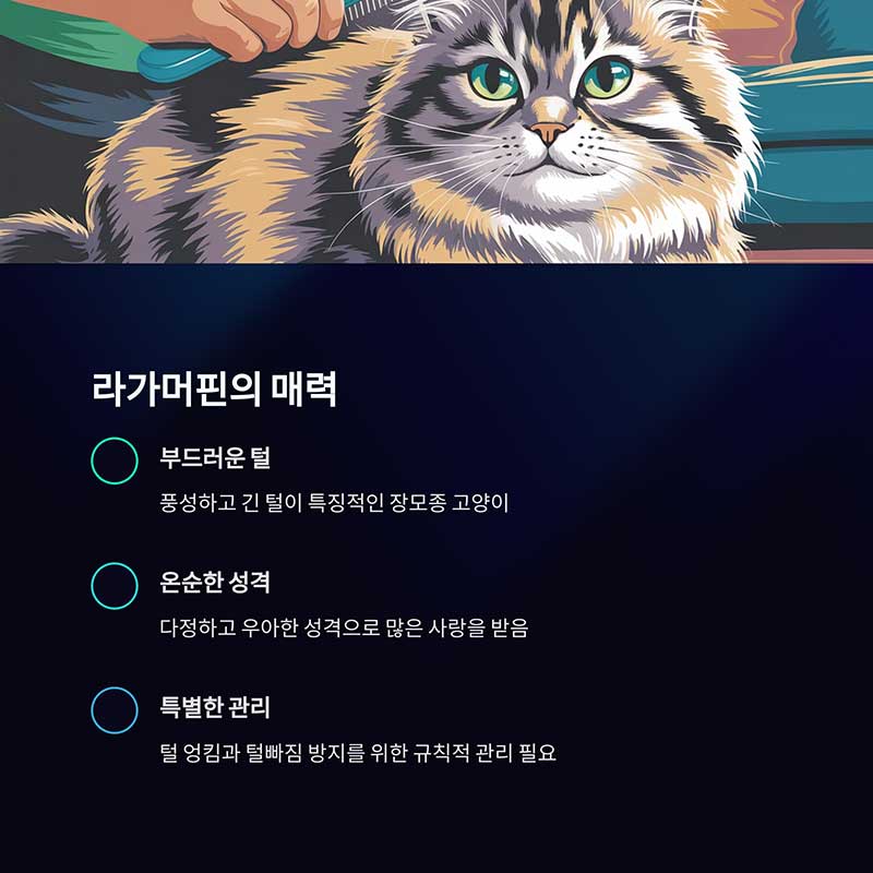 매력과 일상 관리의 중요성