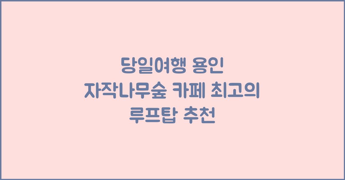 당일여행 용인 자작나무숲 카페